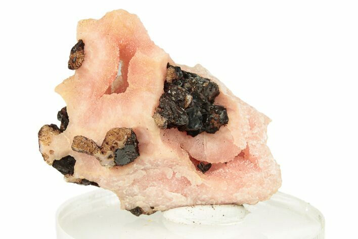 Intricate Botryoidal Rhodochrosite - Santa Eulalia, Mexico #260265